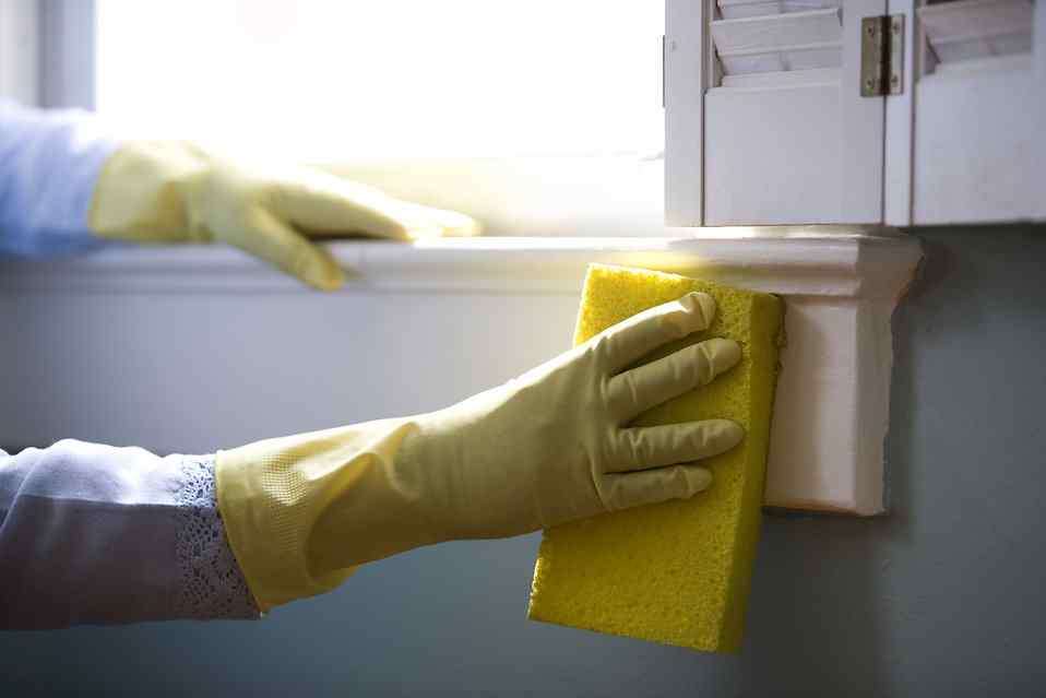 Woman Cleaning A Shelf
