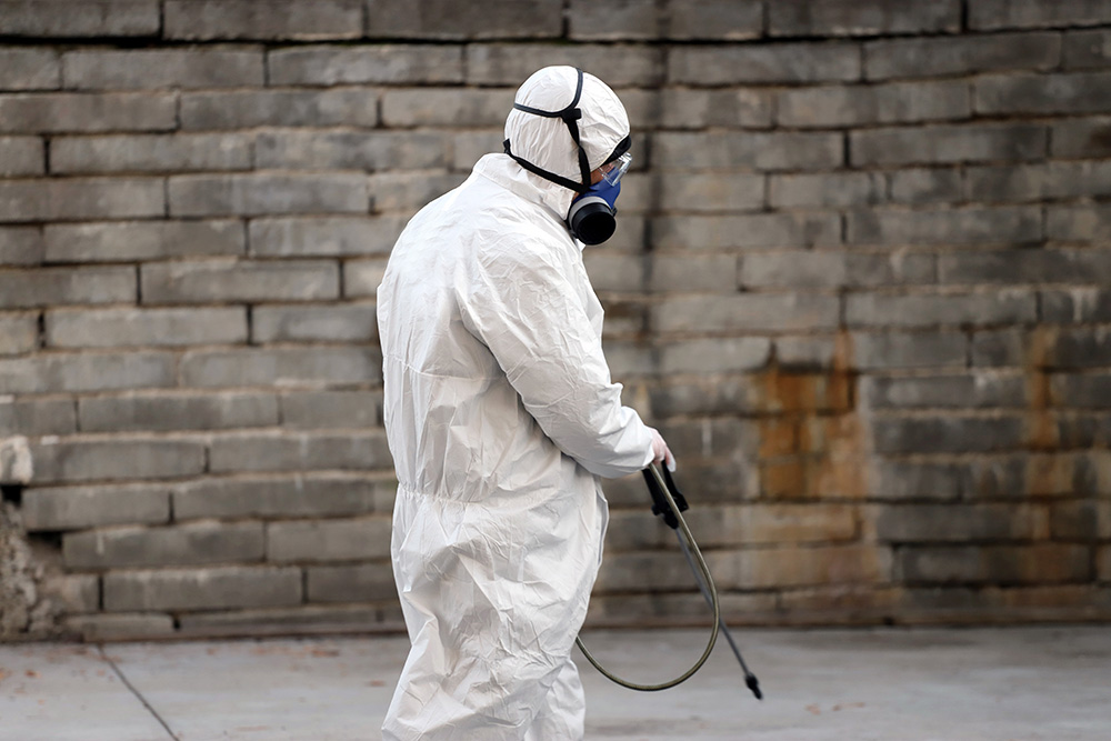 Guano Cleaning