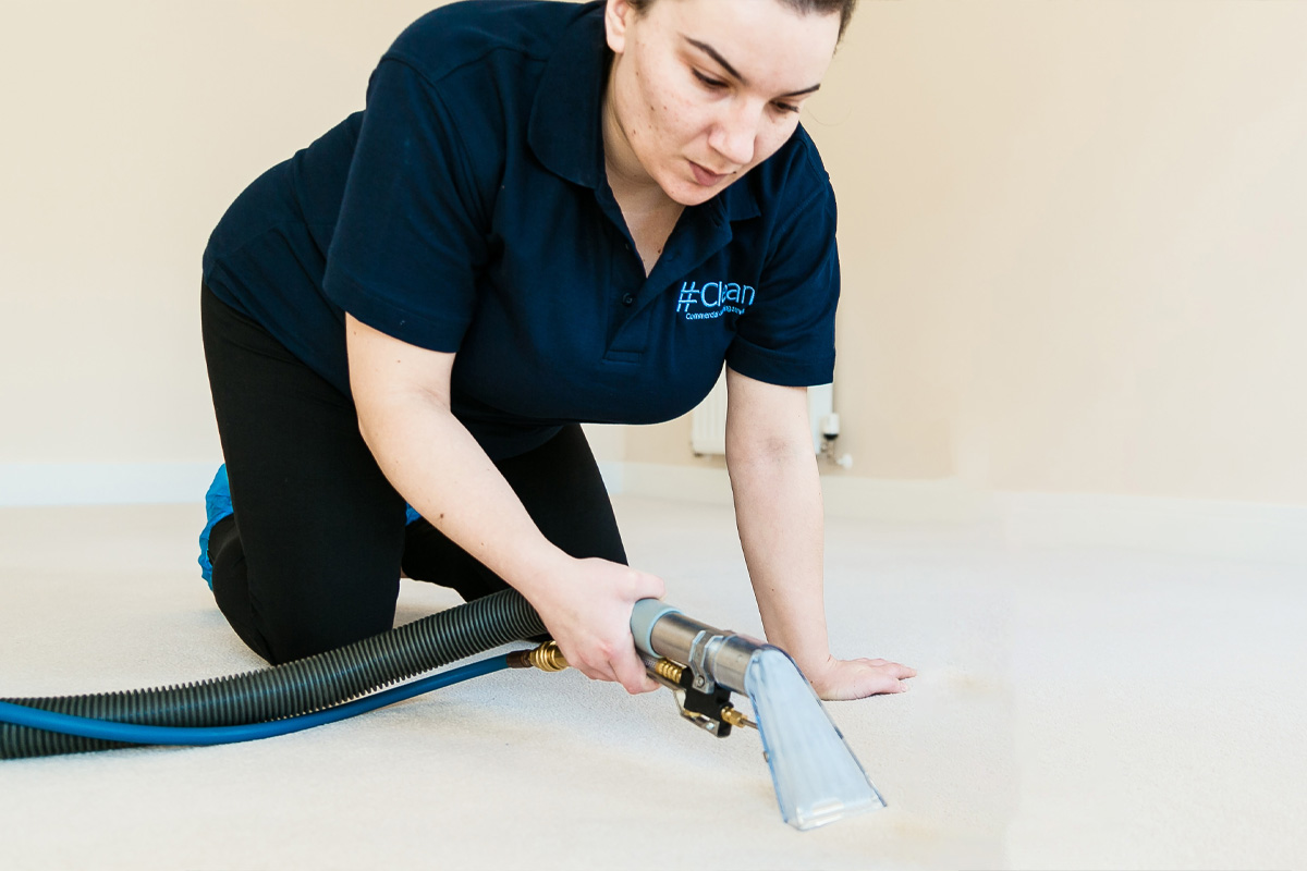 Property Deep Clean Carpet Extraction